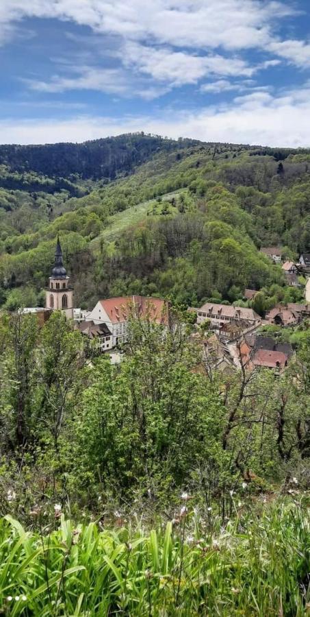 Gîte à Andlau Exterior foto